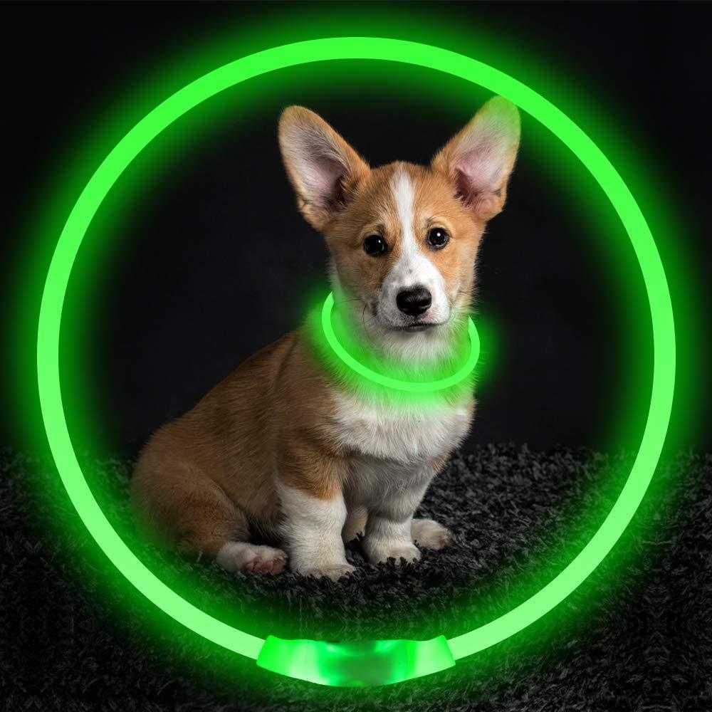 Pet Flashing Collar USB Rechargeable Glowing Necklace Safety Collar Light Up Collars For Night Walking Electric Dog Collar Neon - push up rack, WIFI Repeater, Smart Watch GPS, christmas ornament ball, pet hair cleaner brush, 3m double sided tape, 4-in-1 USB C Cable, automatic toothpaste dispense, Wireless Mobile Controller -  MarketDomez